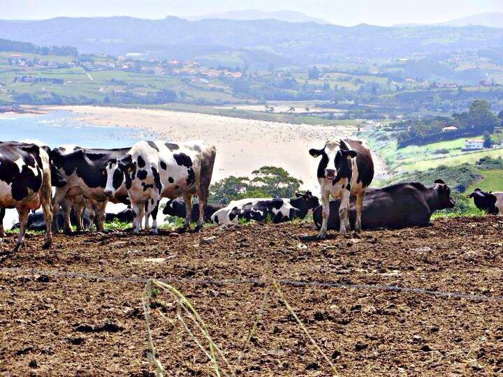 Antaviana Cantabria Cabezón de la Sal Extérieur photo